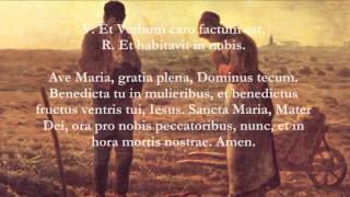 Catholic Prayers  Angelus Latin [upl. by Irahk]