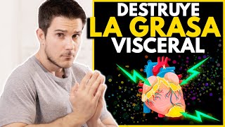 51 CLAVES Para DESTRUIR La GRASA VISCERAL ADELGAZAR y Mejorar Tu SALUD [upl. by Lougheed]