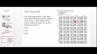 Transfer RNA tRNA Codons and Anticodons [upl. by Attenad113]