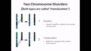 Chromosome abnormalities  structural abnormalities [upl. by Krongold737]