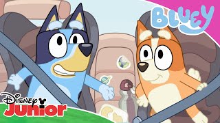 🚗 Przejażdżka z tatą  Blue  Disney Junior Polska [upl. by Lecram]