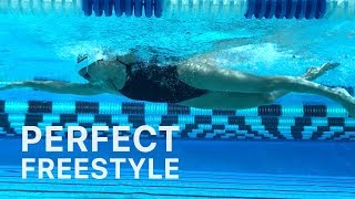 How To Swim Freestyle With Perfect Technique [upl. by Flanigan]