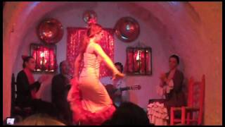 Flamenco Dancing in Granada Spain [upl. by Annohsak]