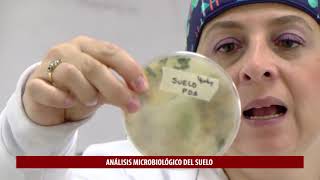 Práctica de laboratorio  Análisis microbiológico del suelo [upl. by Beghtol]